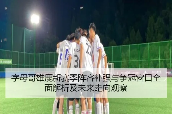 字母哥雄鹿新赛季阵容补强与争冠窗口全面解析及未来走向观察