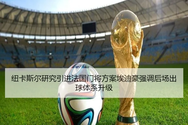 纽卡斯尔研究引进法国门将方案埃迪豪强调后场出球体系升级